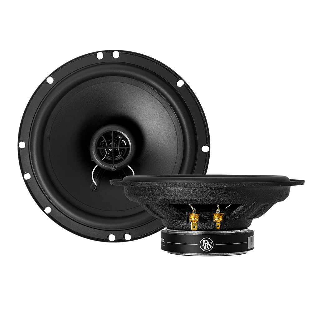 Акустика DLS PA6