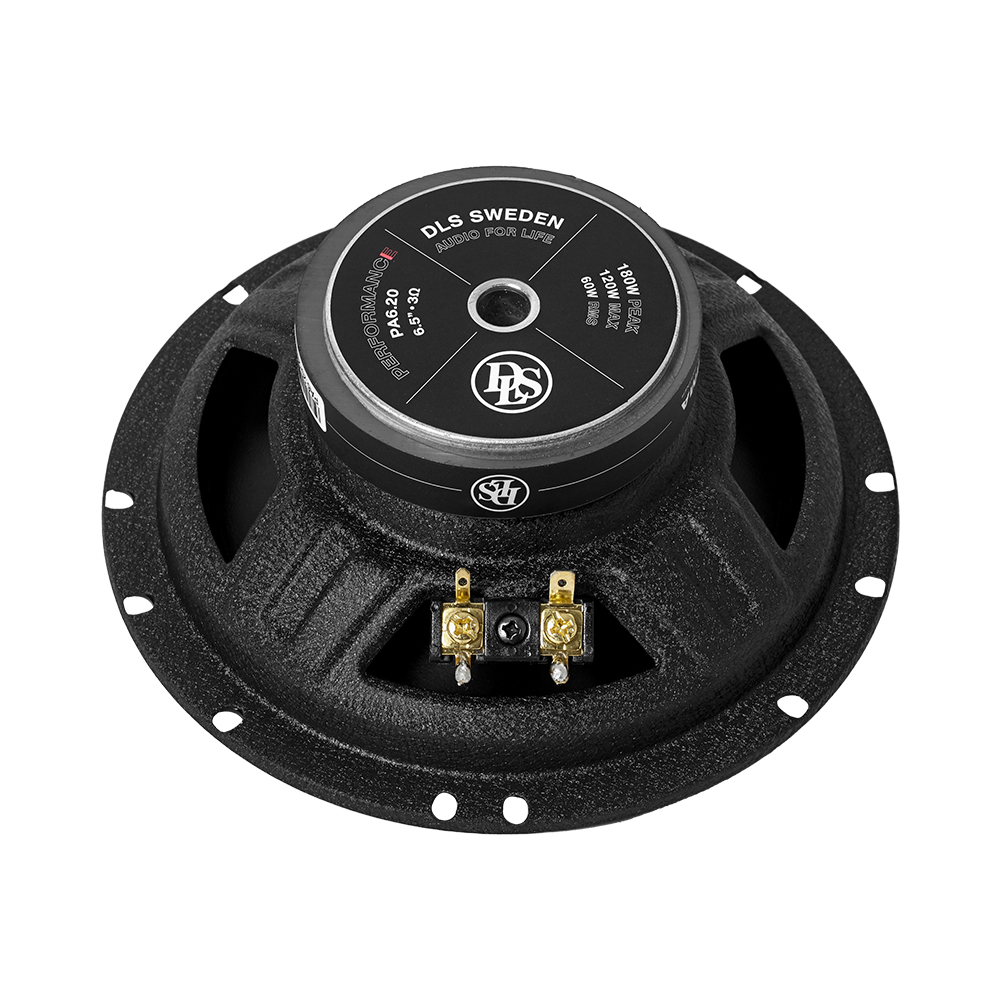Акустика DLS PA6.20